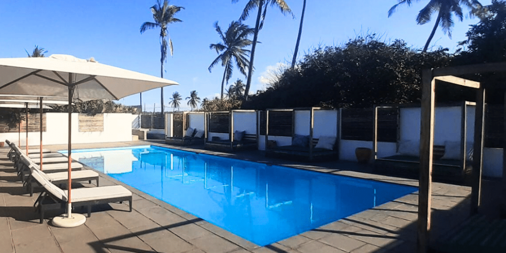 mozambique-whale-shark-and-marine-conservation-1