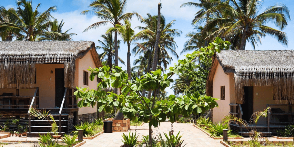 mozambique-whale-shark-and-marine-conservation-6