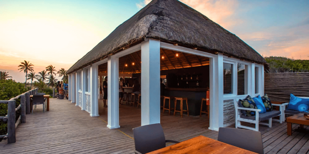 mozambique-whale-shark-and-marine-conservation-8