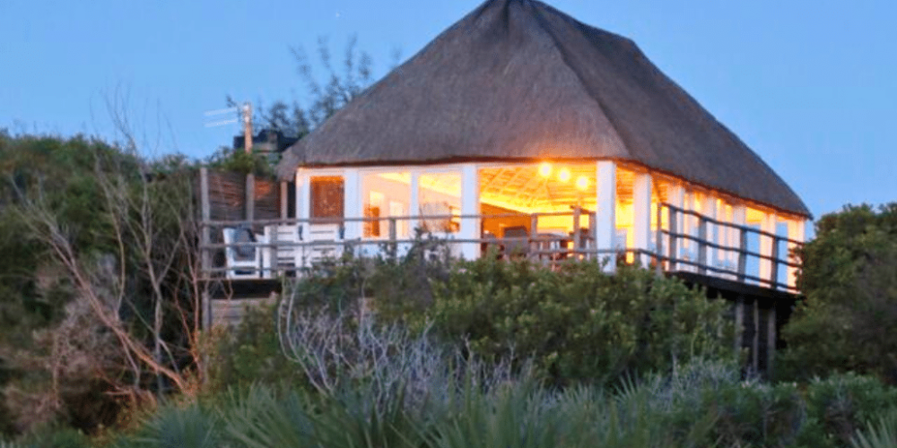 mozambique-whale-shark-and-marine-conservation-9