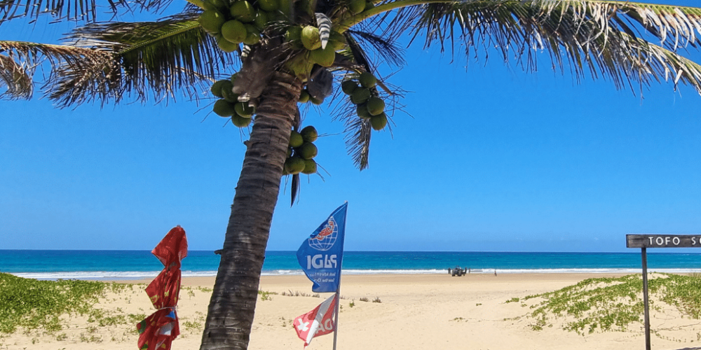 mozambique-whale-shark-and-marine-conservation-add-3