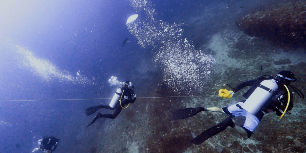 mozambique-whale-shark-and-marine-conservation-add-4