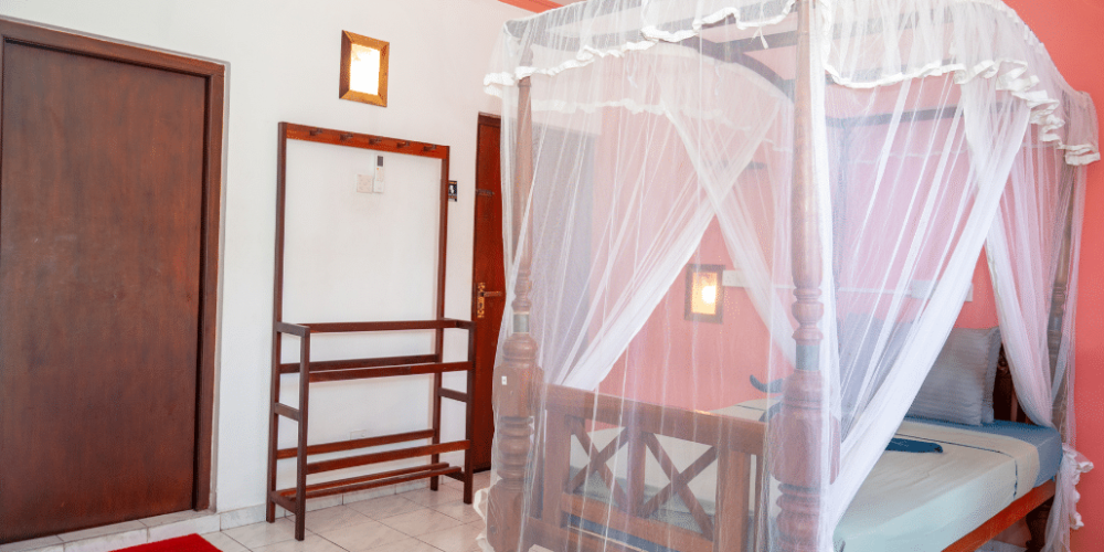 nursing-internship-for-students-and-graduates-16