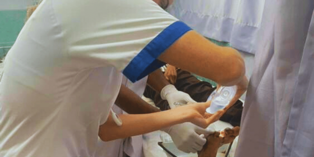 nursing-internship-for-students-and-graduates-22