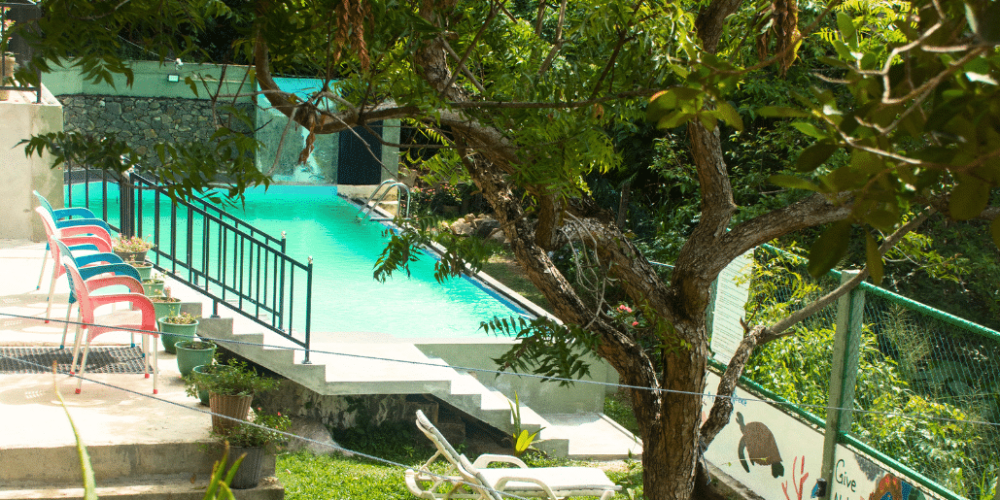 nursing-internship-for-students-and-graduates-23