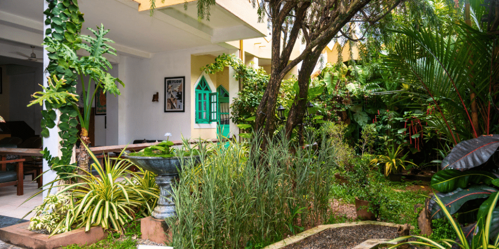 nursing-internship-for-students-and-graduates-4