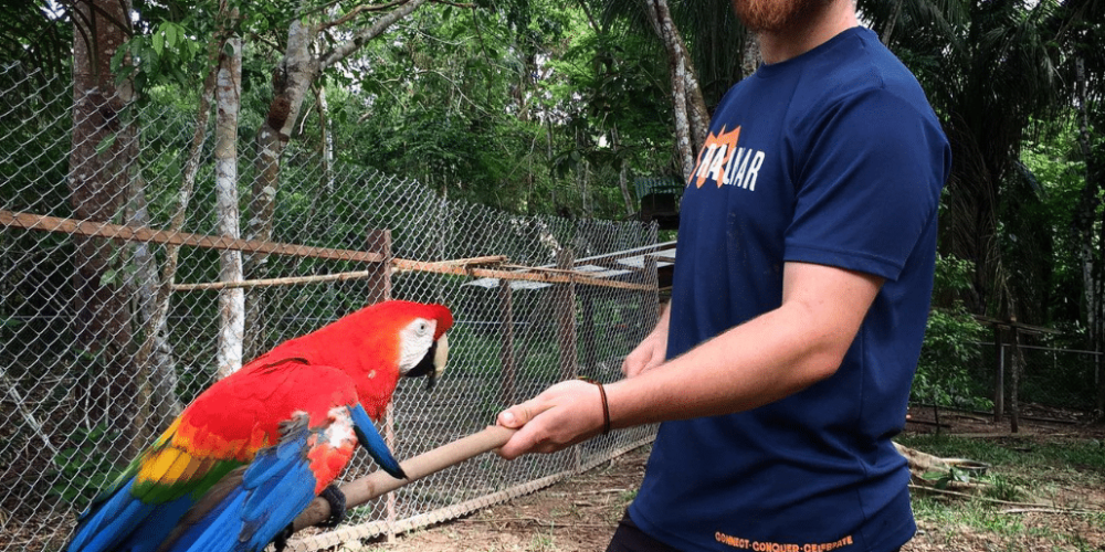 peru-amazon-wildlife-rescue-care-and-release-sanctuary32