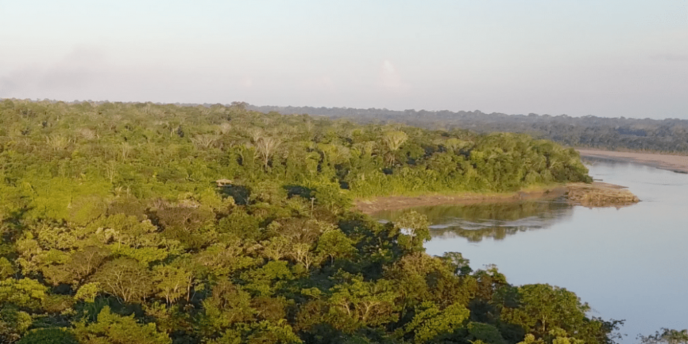 peru-amazon-wildlife-rescue-care-and-release-sanctuary40