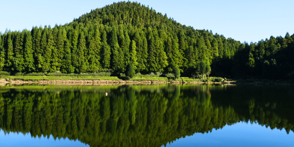 portugal-azores-social-impact-&-eco-adventure-for-teenagers-1