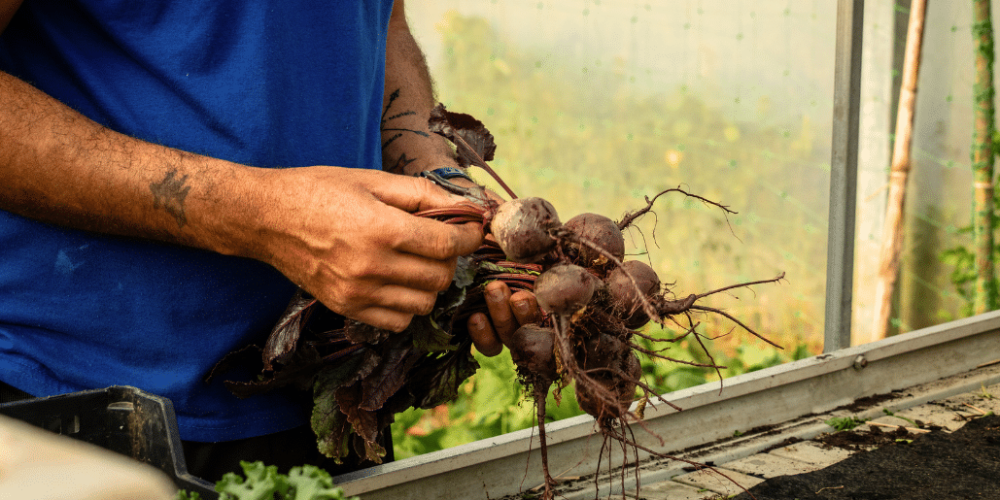 portugal-azores-social-impact-&-eco-adventure-for-teenagers-16