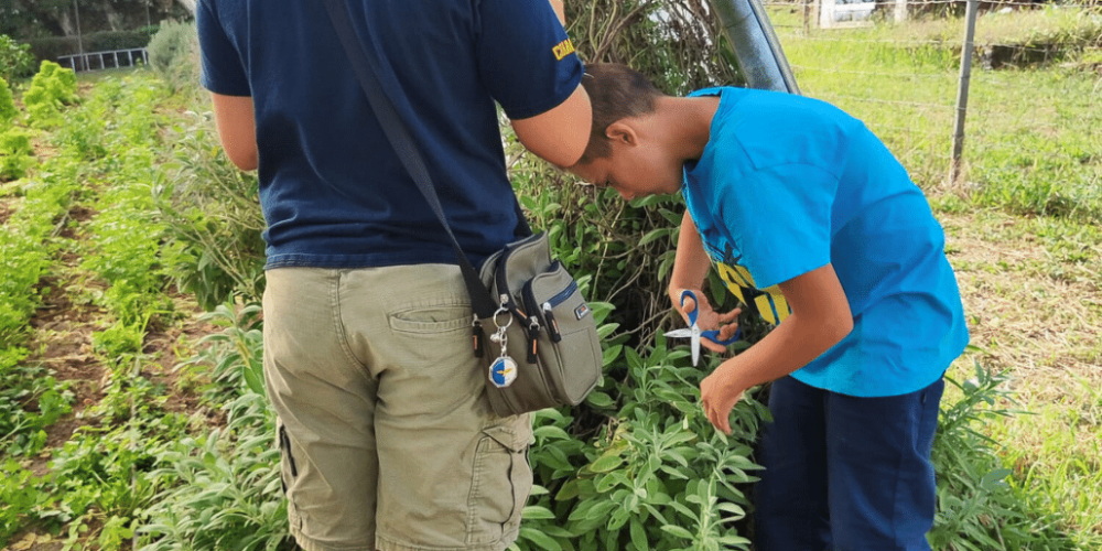 portugal-azores-social-impact-&-eco-adventure-for-teenagers-3