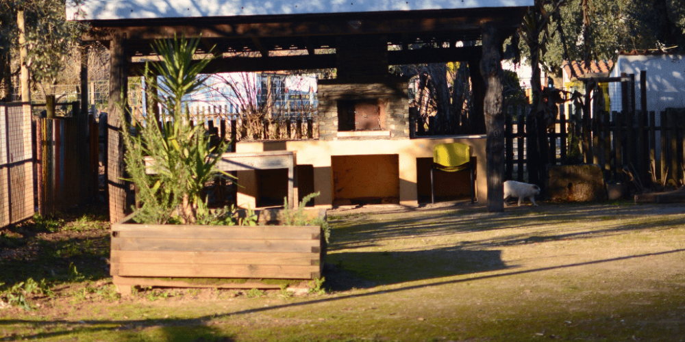 portugal-wildlife-conservation-animal-care-10