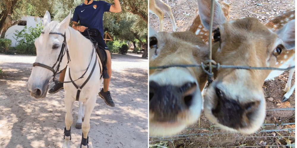 portugal-wildlife-conservation-animal-care-13