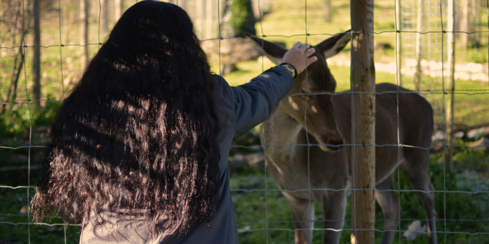 portugal-wildlife-conservation-animal-care-16