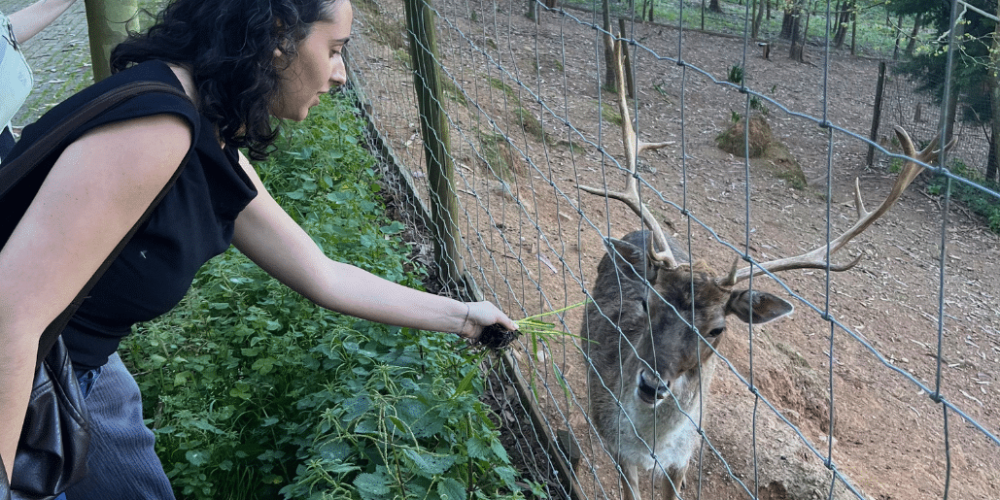 portugal-wildlife-conservation-animal-care-29
