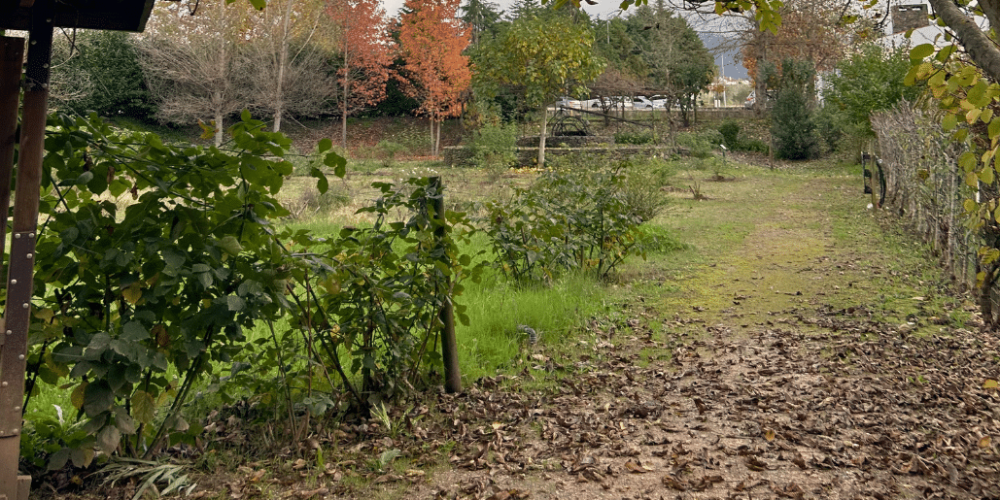 portugal-wildlife-conservation-animal-care-30