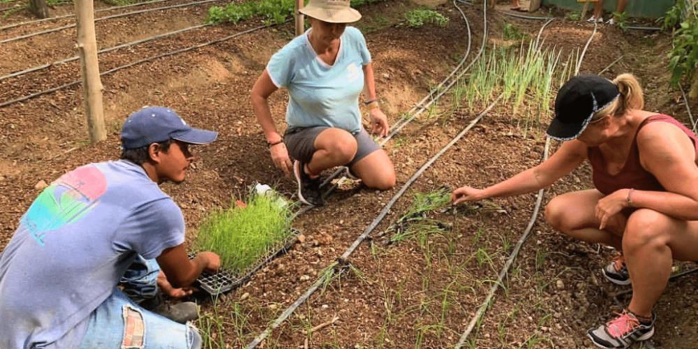 sea-turtle-conservation-eco-community-living-1