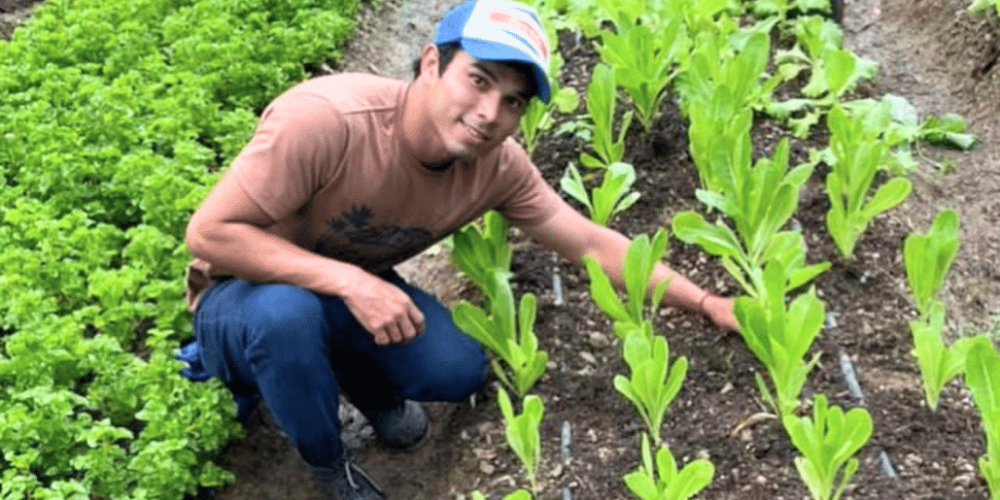 sea-turtle-conservation-eco-community-living-2