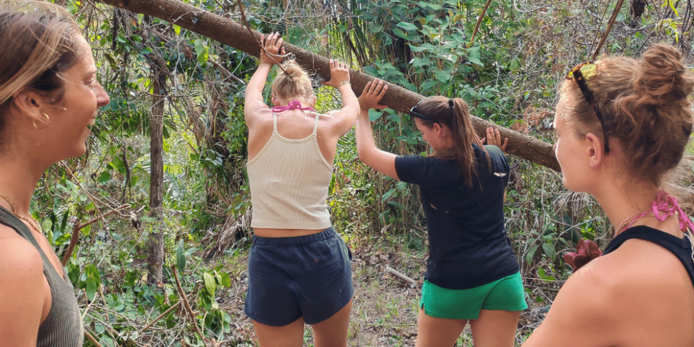 sea-turtle-conservation-eco-community-living-21