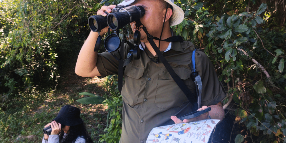 sea-turtle-conservation-eco-community-living-22