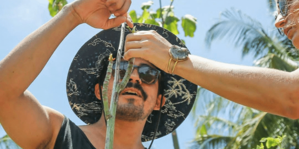 sea-turtle-conservation-eco-community-living-26