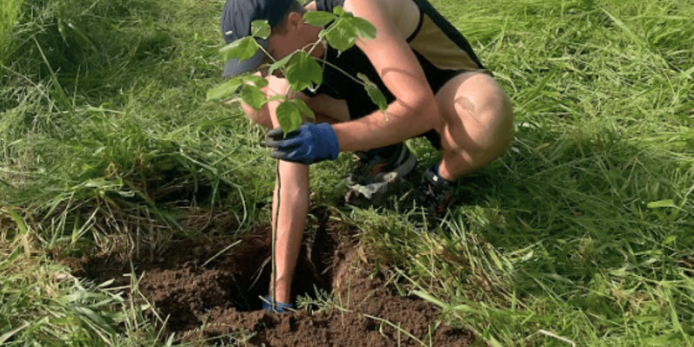 sea-turtle-conservation-eco-community-living-28