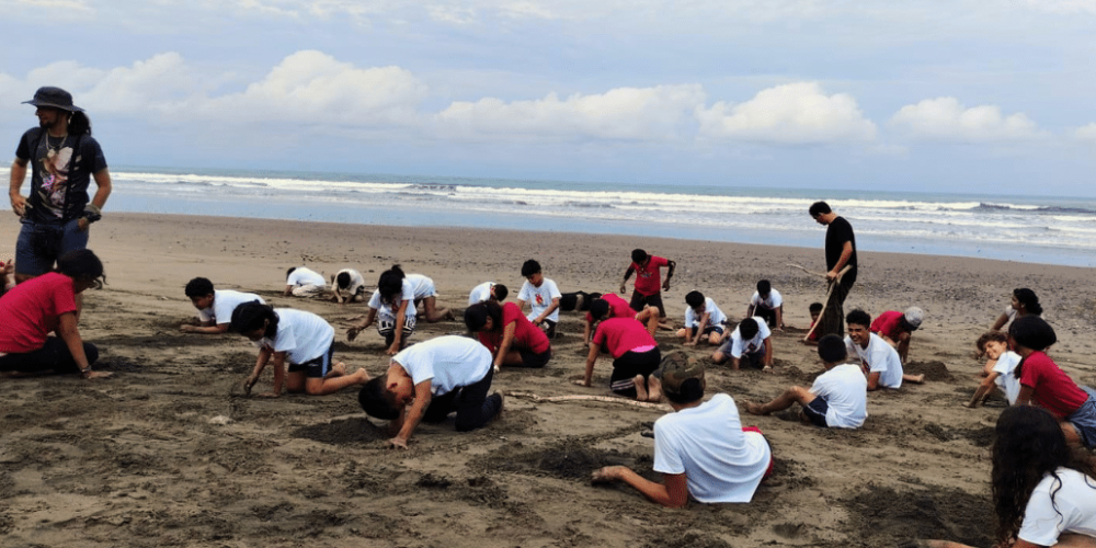 sea-turtle-conservation-eco-community-living-30