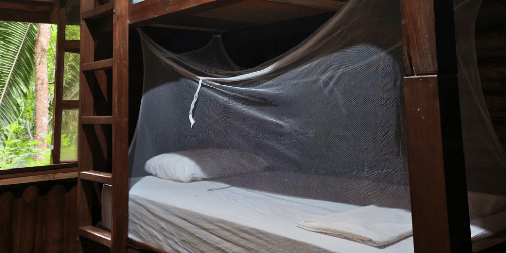 sea-turtle-conservation-eco-community-living-31