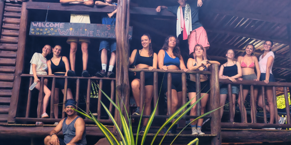 sea-turtle-conservation-eco-community-living-33