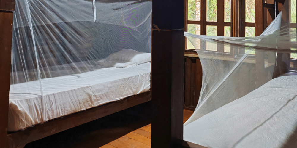 sea-turtle-conservation-eco-community-living-34