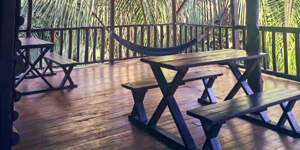 sea-turtle-conservation-eco-community-living-35