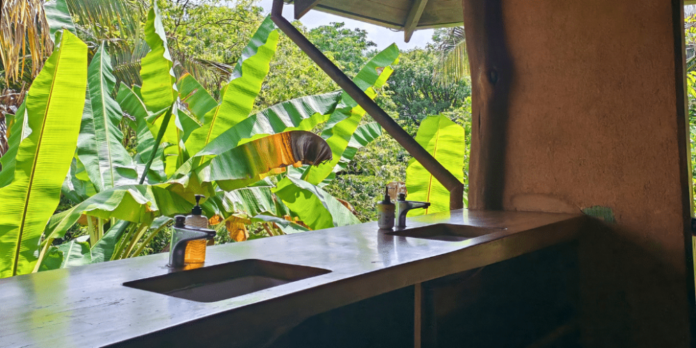 sea-turtle-conservation-eco-community-living-36