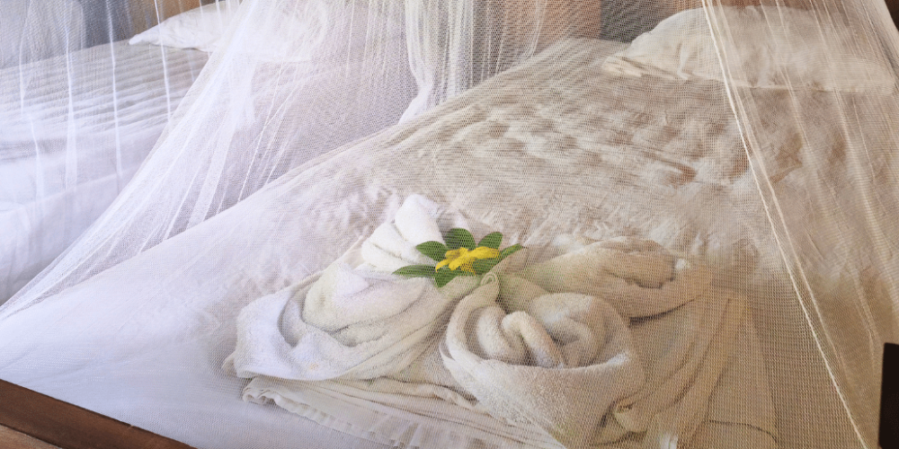 sea-turtle-conservation-eco-community-living-37