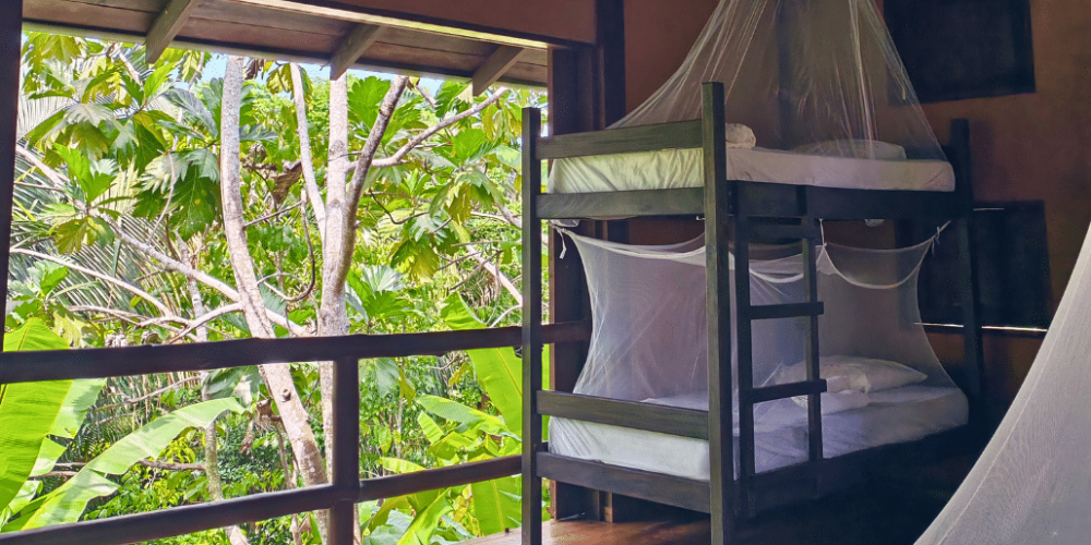 sea-turtle-conservation-eco-community-living-38