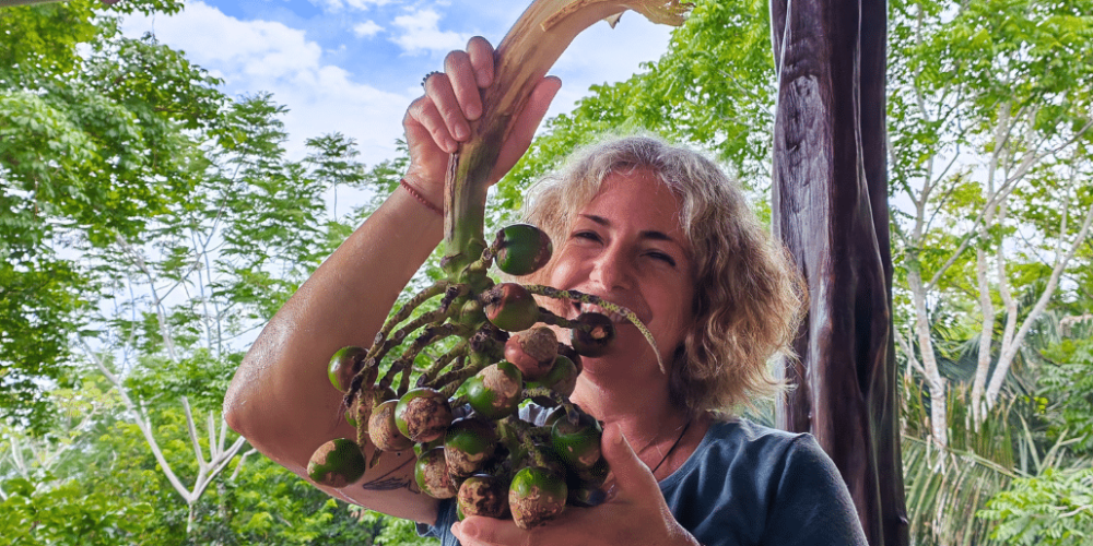 sea-turtle-conservation-eco-community-living-4