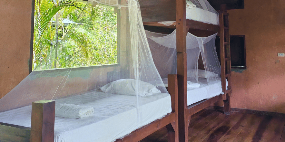 sea-turtle-conservation-eco-community-living-40