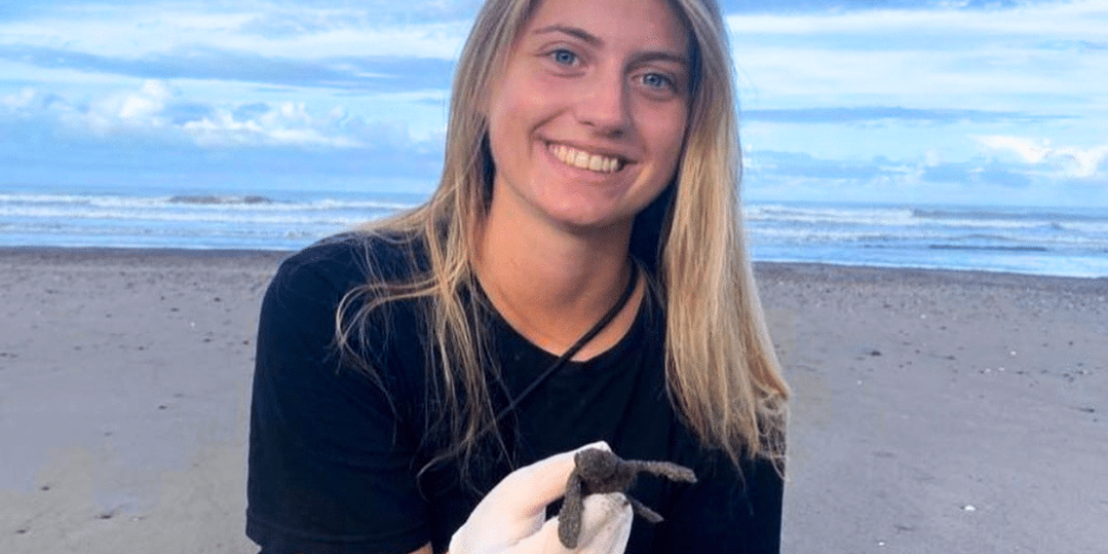 sea-turtle-conservation-eco-community-living-5