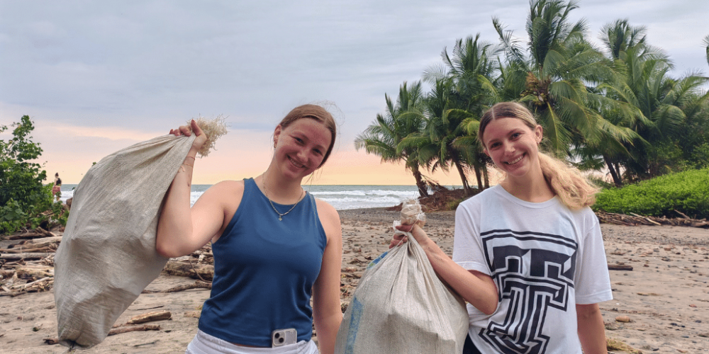 sea-turtle-conservation-eco-community-living-6