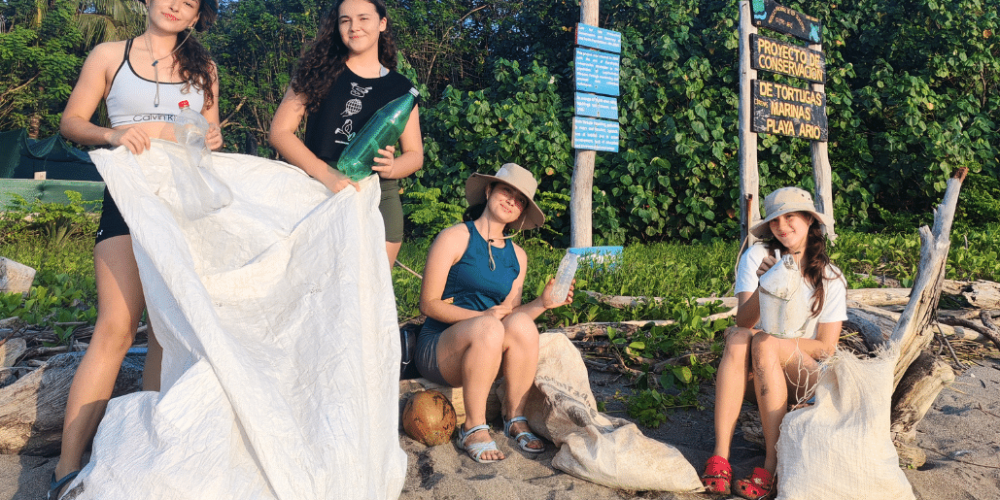 sea-turtle-conservation-eco-community-living-9