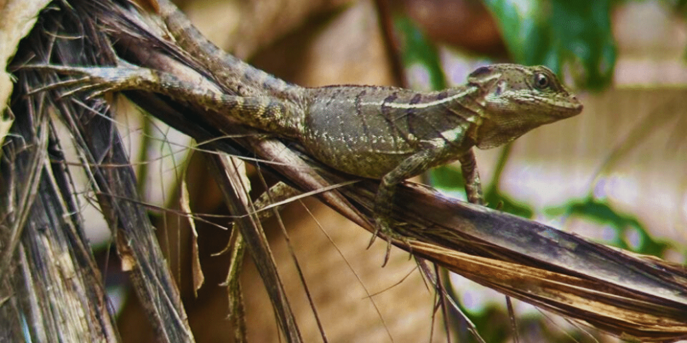 sea-turtle-volunteering-&-adventure-tour-for-teenagers-19