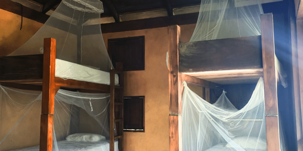 sea-turtle-volunteering-&-adventure-tour-for-teenagers-3