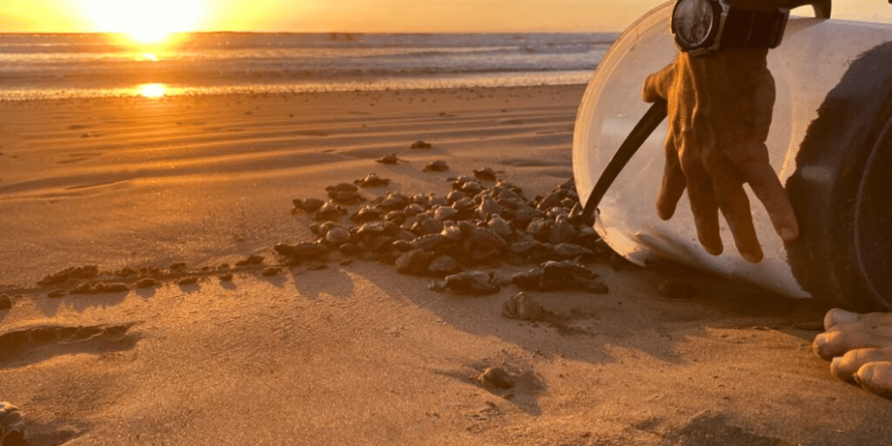 sea-turtle-volunteering-&-adventure-tour-for-teenagers-32