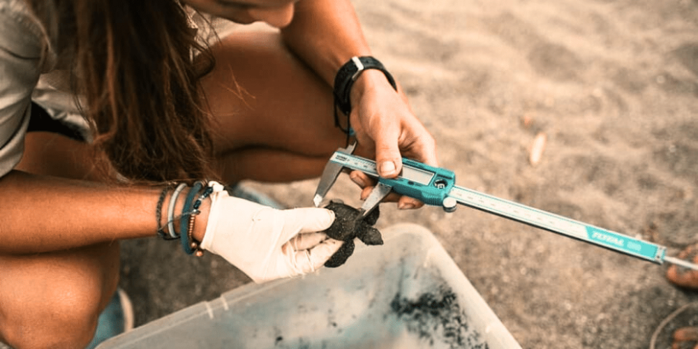 sea-turtle-volunteering-&-adventure-tour-for-teenagers-33