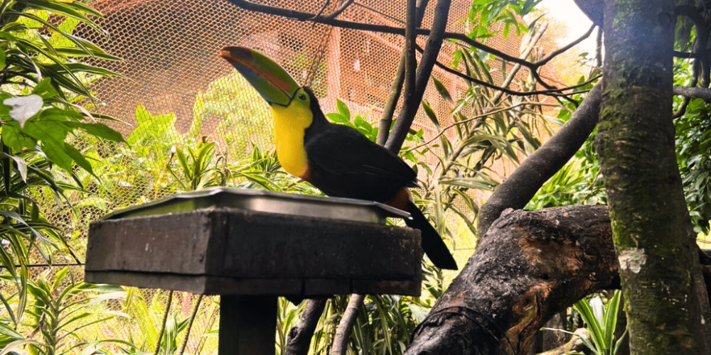 sea-turtle-volunteering-&-adventure-tour-for-teenagers-34