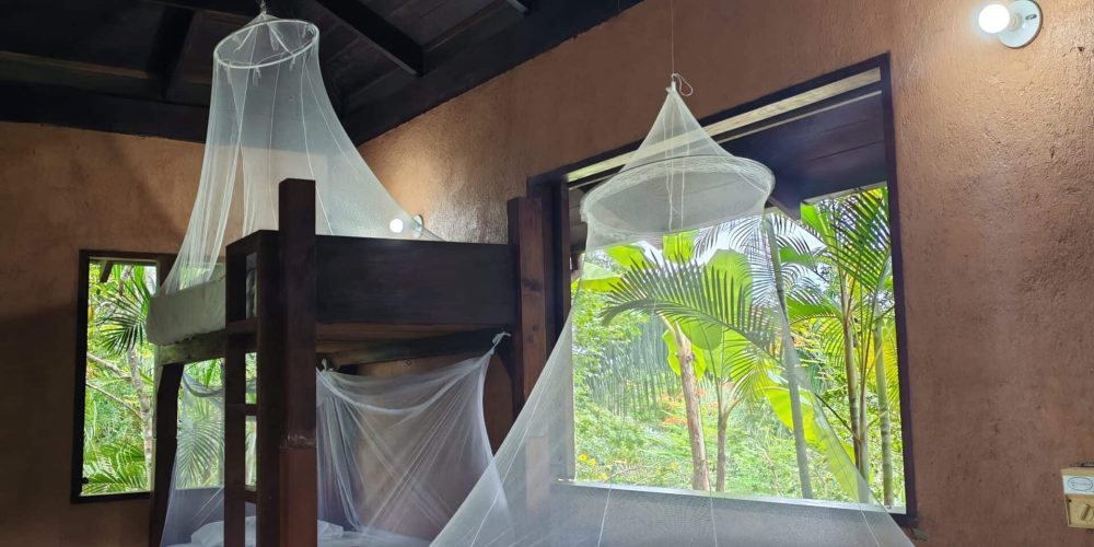 sea-turtle-volunteering-&-adventure-tour-for-teenagers-42