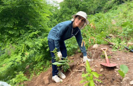 seoul-culture-week-environmental-volunteering-main-2