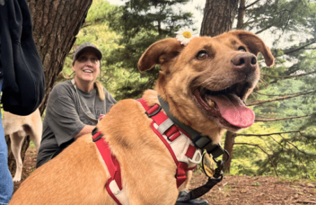 seoul-culture-week-rescued-animal-care-volunteering-main-1