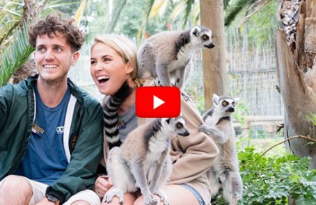 south-africa-african-wildlife-ranch-videos