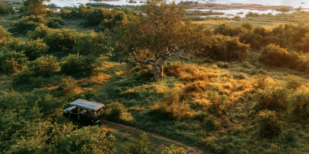 south-africa-big-5-wildlife-reserve-greater-kruger-area-acc-4