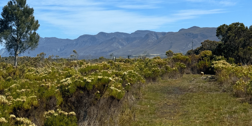 south-africa-big-cat-refuge-&-marcela-20